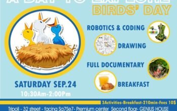 BIRDS